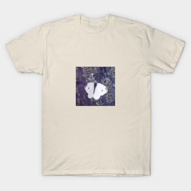 Winter Flight T-Shirt by Adam Clayton Graphics